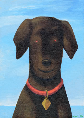 BROWN DOG　　2007